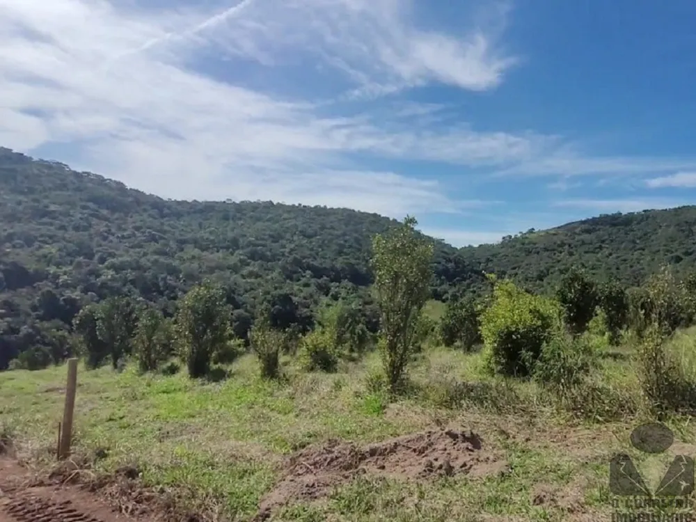Chácara, 1000 m² - Foto 8