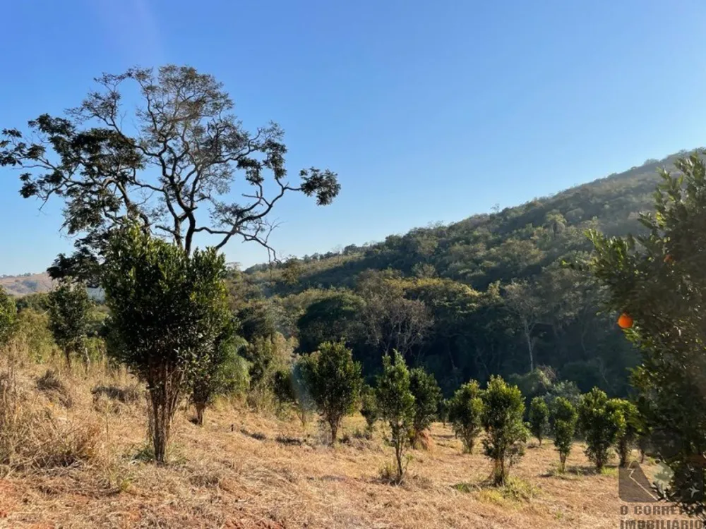 Chácara, 1000 m² - Foto 11