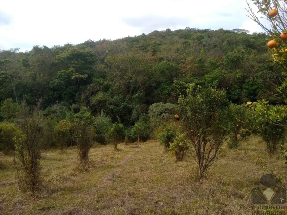 Chácara, 1000 m² - Foto 12
