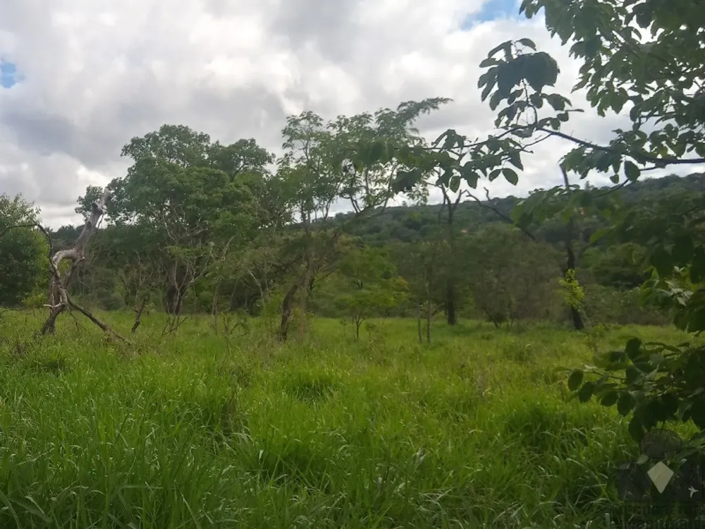 Chácara, 2 hectares - Foto 9
