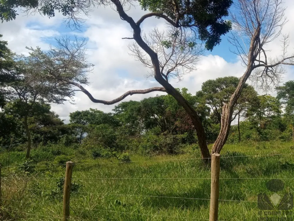 Chácara, 2 hectares - Foto 11