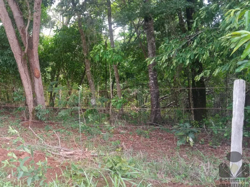 Chácara, 2 hectares - Foto 12