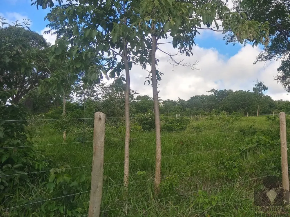 Chácara, 2 hectares - Foto 13