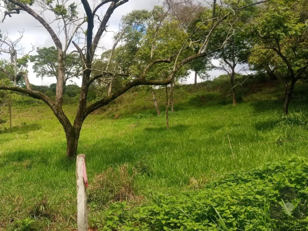 Chácara, 2 hectares - Foto 1