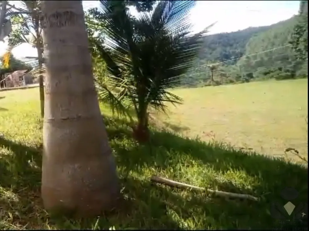 Sítio, 6 quartos, 2 hectares - Foto 4