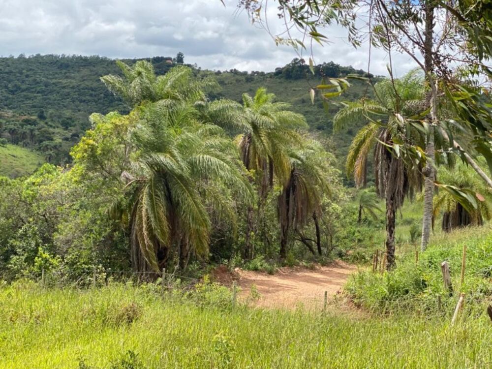 Chácara, 3629 m² - Foto 1