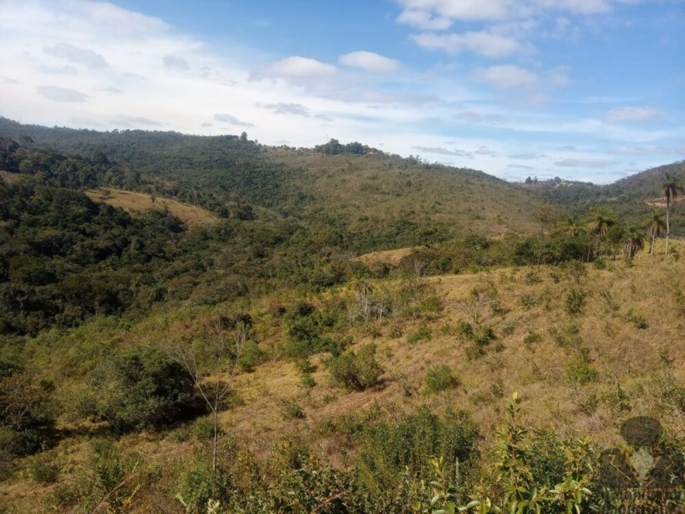 Chácara, 3629 m² - Foto 3