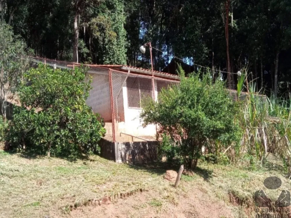 Sítio, 3 quartos, 2 hectares - Foto 11
