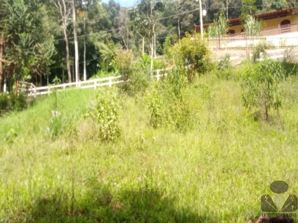Sítio, 3 quartos, 2 hectares - Foto 4