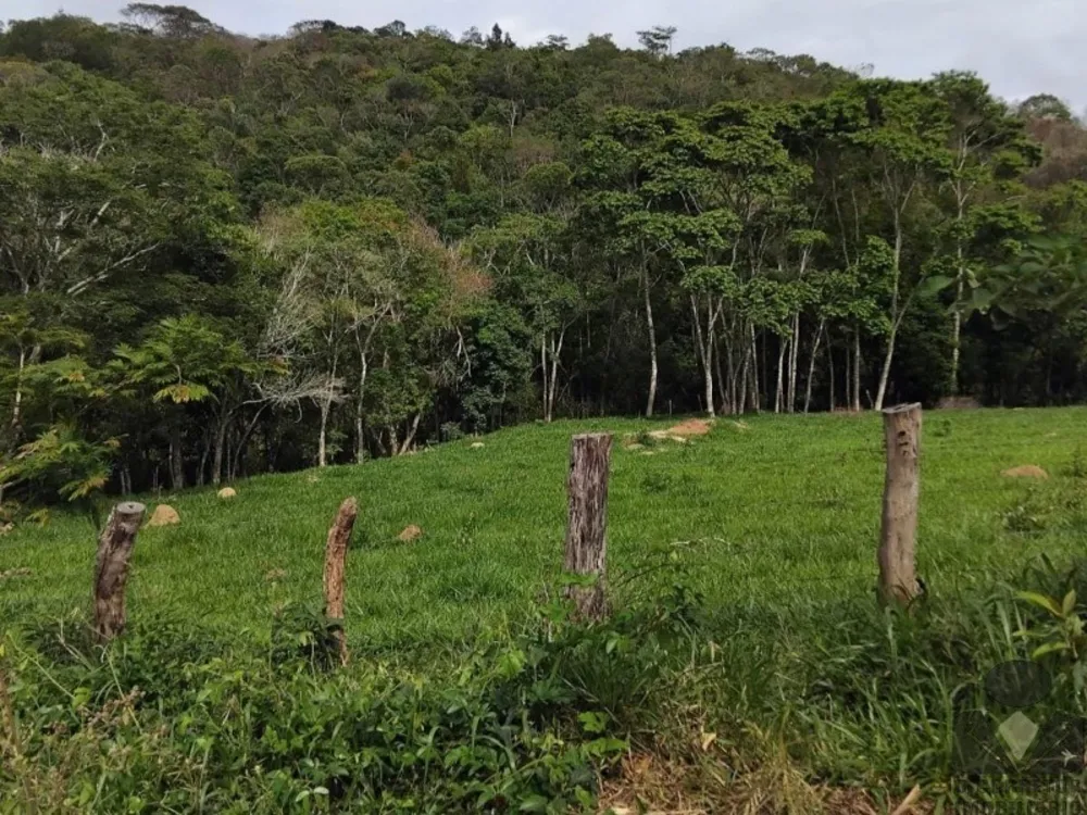 Chácara, 1 quarto, 8000 m² - Foto 14
