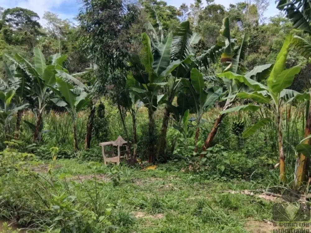 Chácara, 1 quarto, 8000 m² - Foto 2