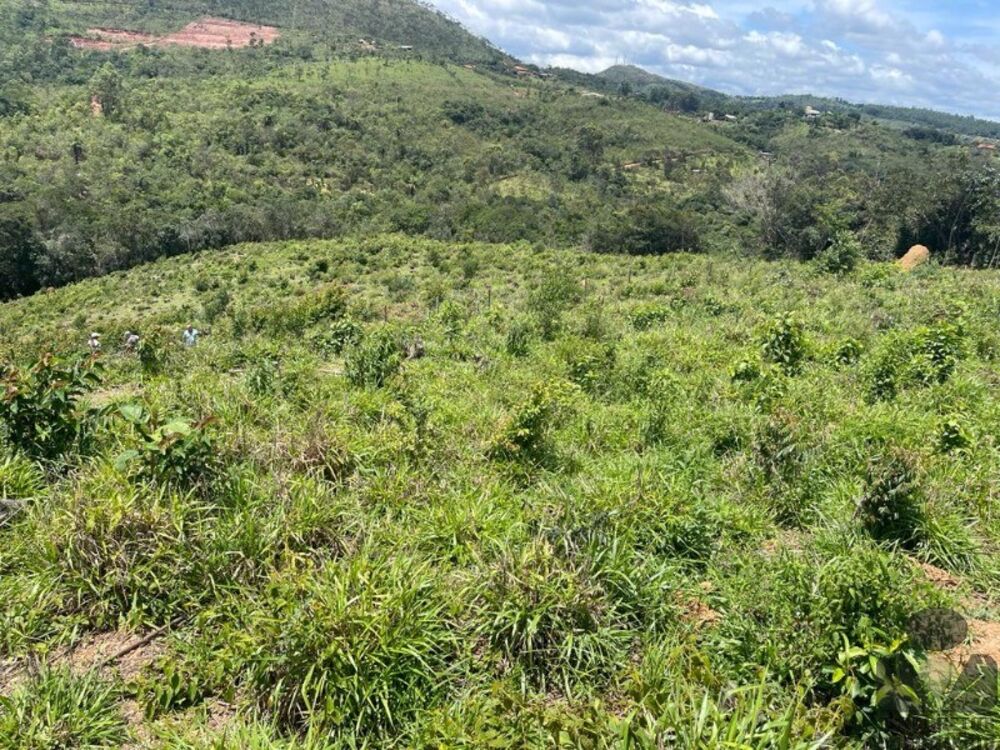 Chácara, 6700 m² - Foto 2