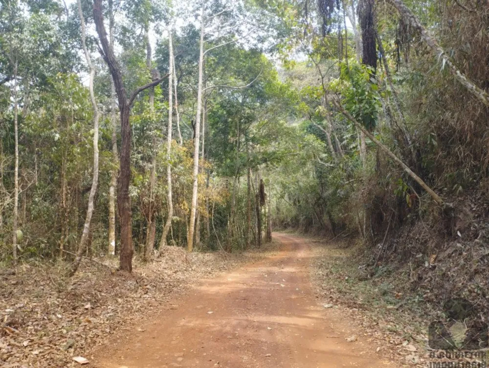 Chácara, 2500 m² - Foto 6