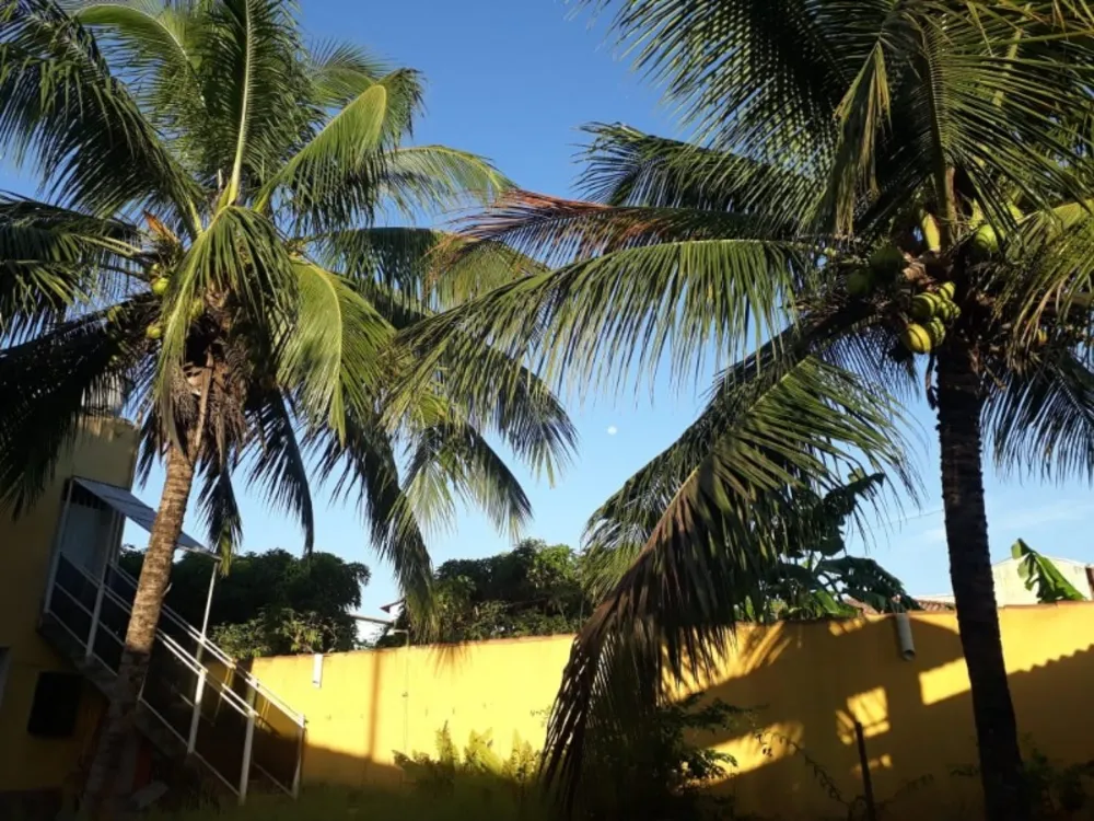 Casa, 5 quartos, 214 m² - Foto 21
