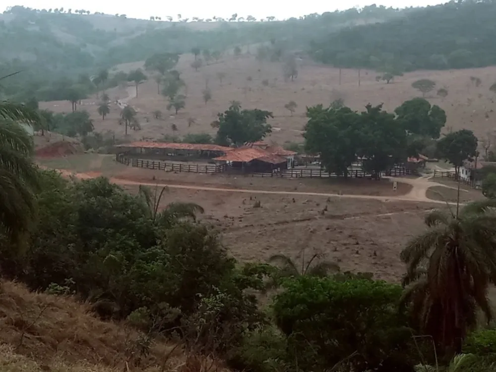 Chácara, 2 hectares - Foto 8
