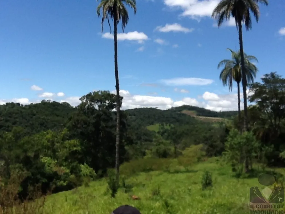 Chácara, 2 hectares - Foto 3
