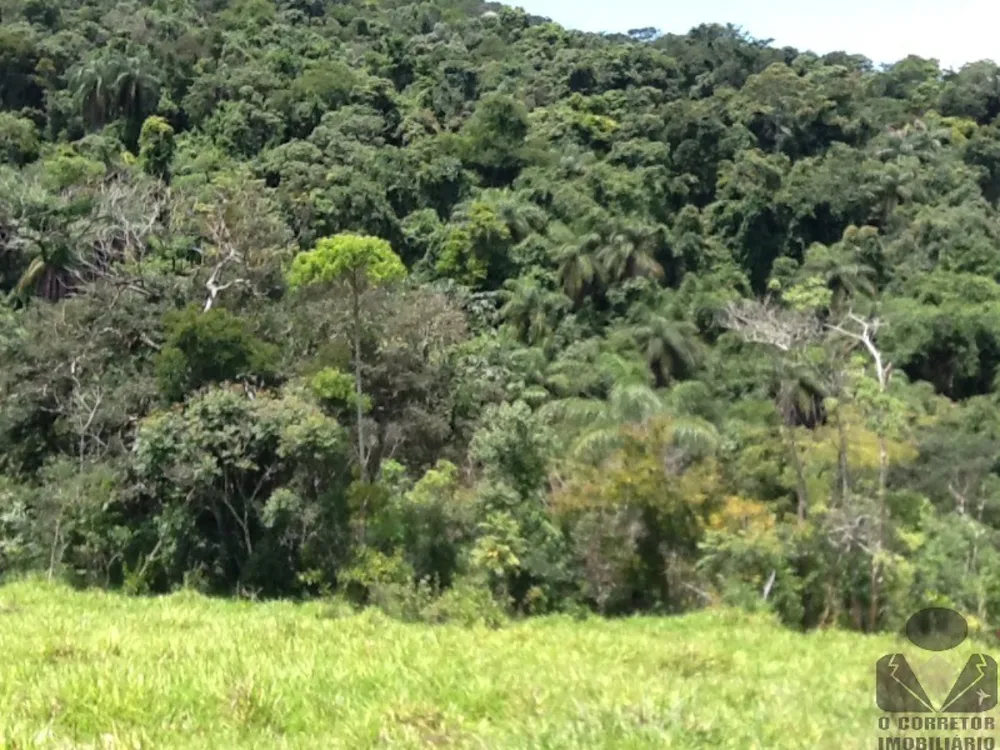 Chácara, 2 hectares - Foto 1