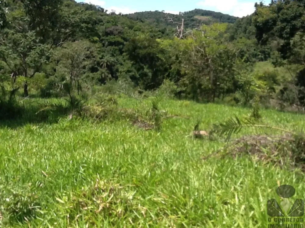 Chácara, 2 hectares - Foto 6