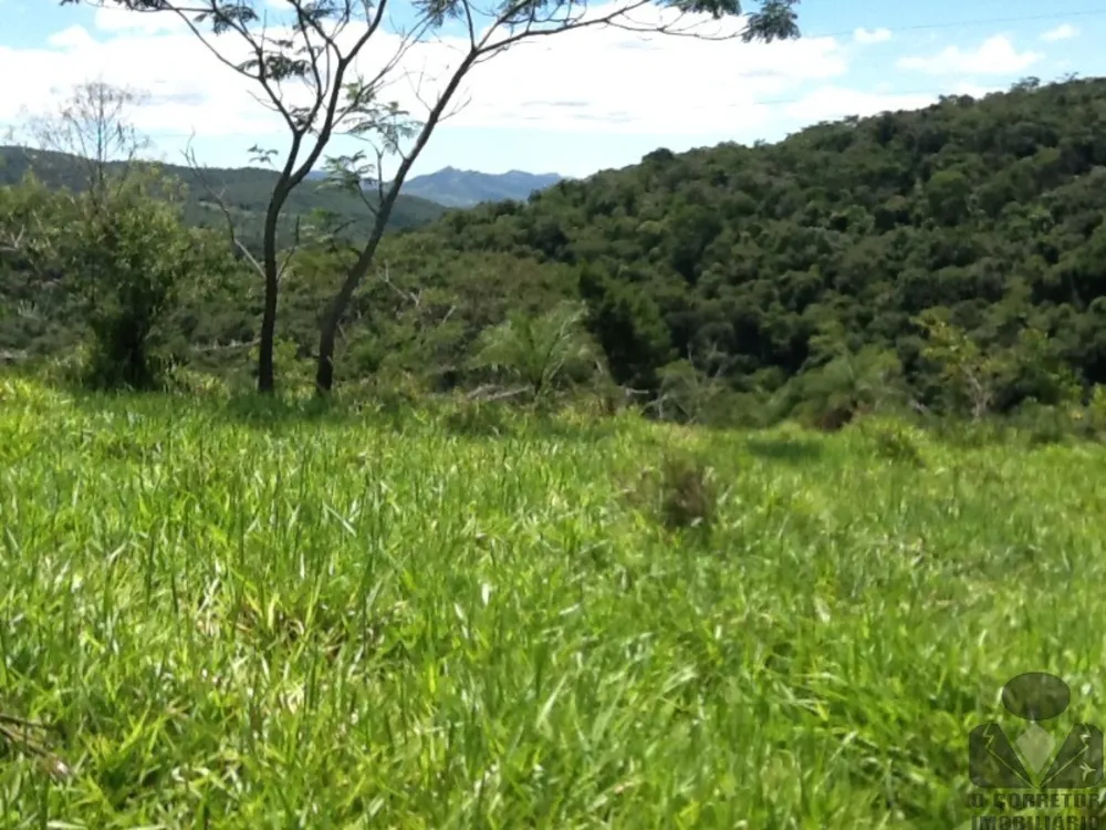 Sítio, 2 hectares - Foto 14
