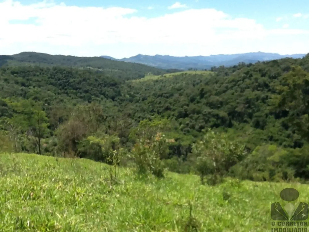 Chácara, 2 hectares - Foto 2