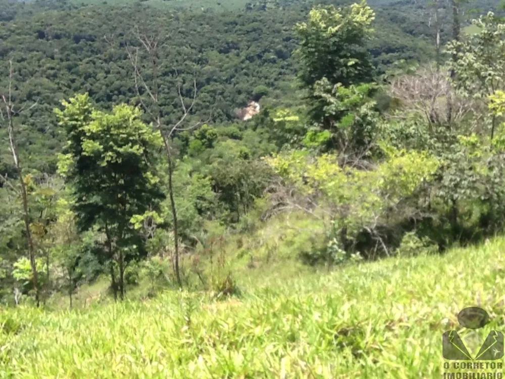 Sítio, 2 hectares - Foto 4