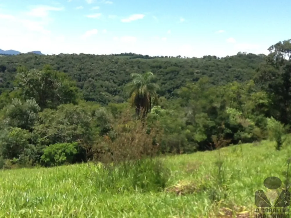 Chácara, 2 hectares - Foto 7