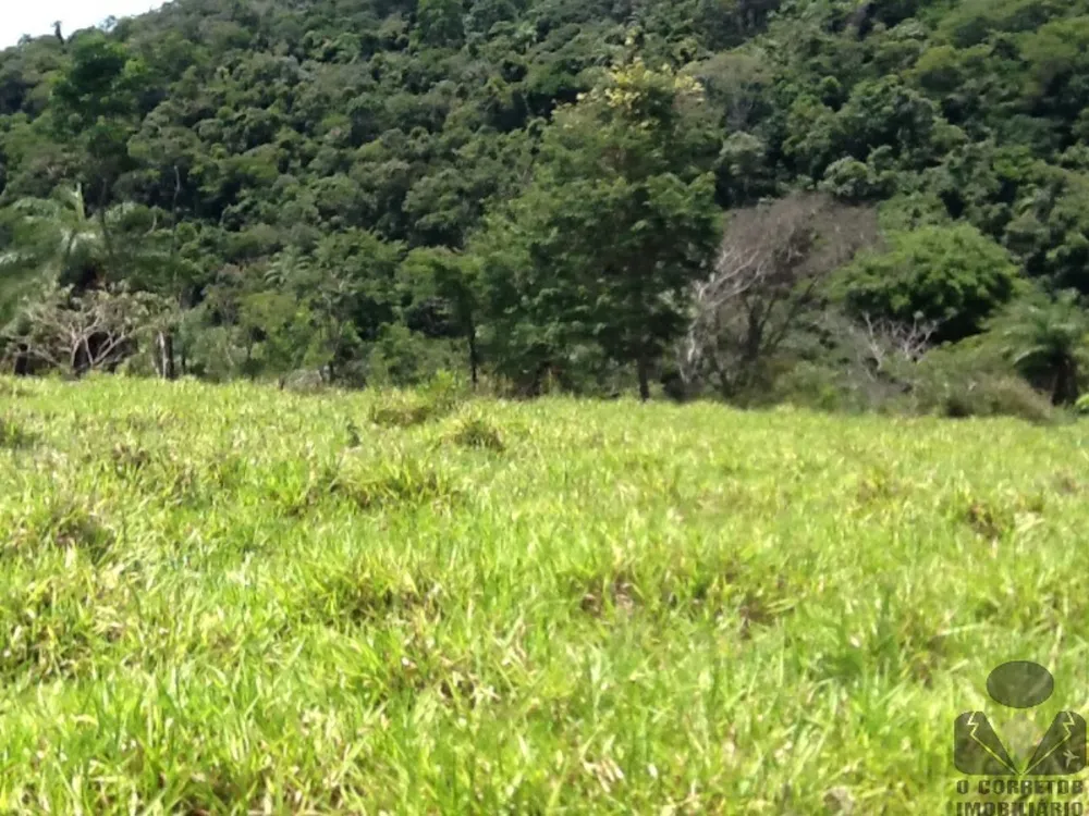 Chácara, 2 hectares - Foto 4