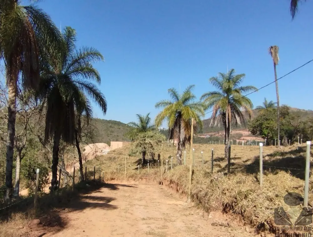 Chácara, 6700 m² - Foto 3