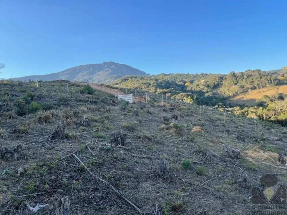 Chácara, 6700 m² - Foto 3
