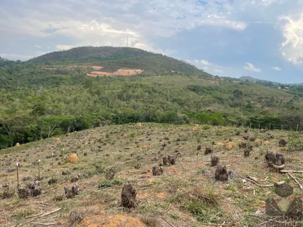 Chácara, 6700 m² - Foto 6