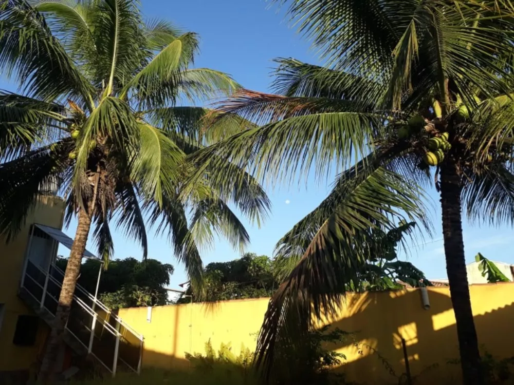 Casa, 5 quartos, 214 m² - Foto 21