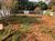Sítio, 7 quartos, 1000 m² - Foto 3