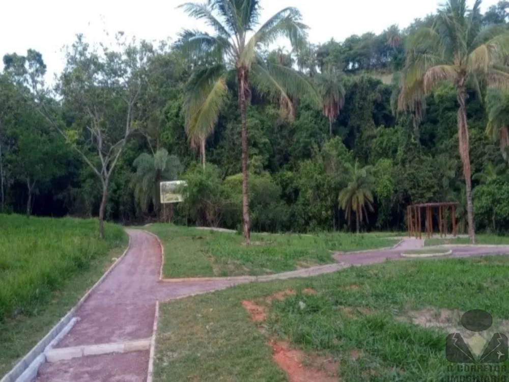 Chácara, 2 hectares - Foto 8