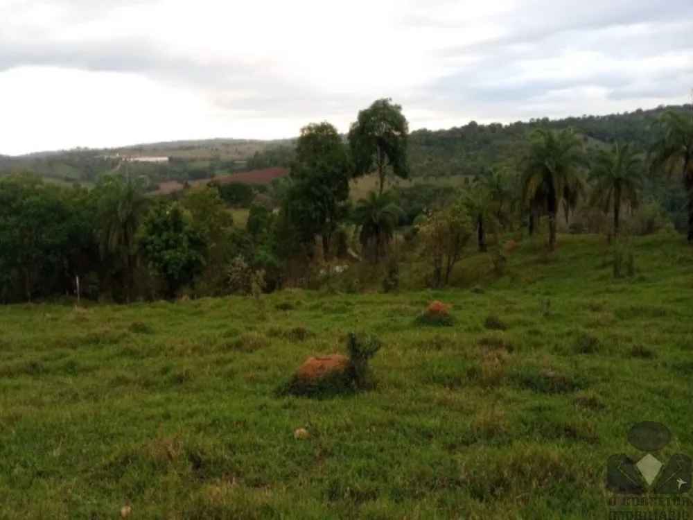 Chácara, 2 hectares - Foto 1