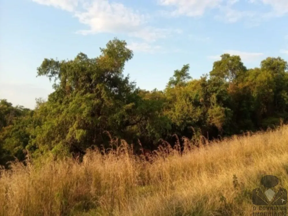 Chácara, 2 hectares - Foto 7