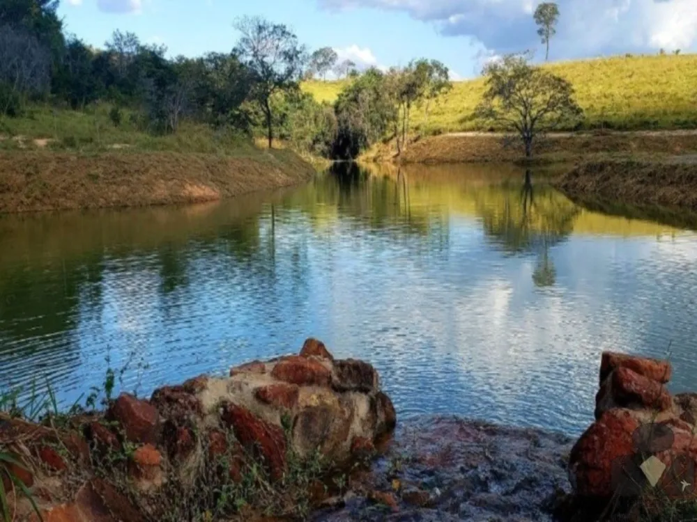 Chácara, 2 hectares - Foto 9