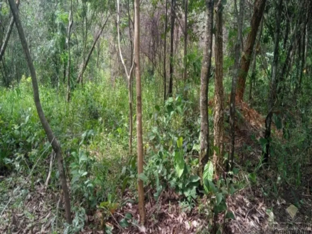 Chácara, 2 hectares - Foto 2