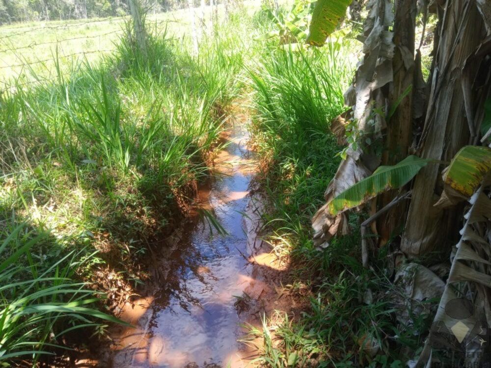 Sítio, 5 quartos, 4 hectares - Foto 3