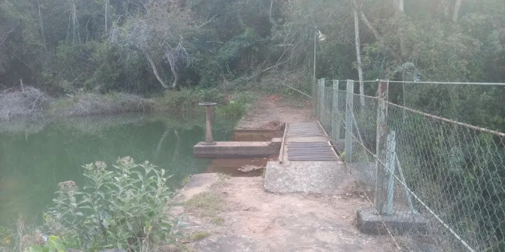 Sítio, 3 quartos, 3 hectares - Foto 13