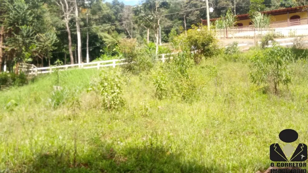 Sítio, 3 quartos, 3 hectares - Foto 7