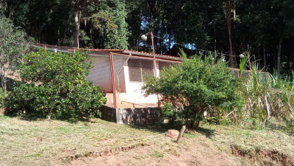 Sítio, 3 quartos, 3 hectares - Foto 1