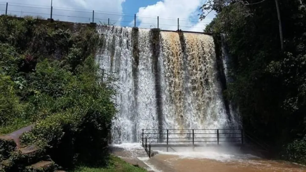 Sítio, 3 quartos, 3 hectares - Foto 7