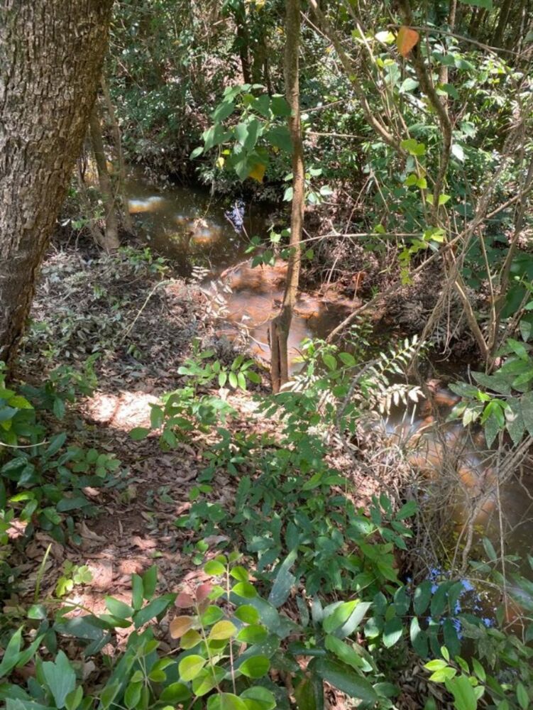 Sítio, 2 hectares - Foto 1