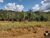 Fazenda-Sítio-Chácara, 2 hectares - Foto 1