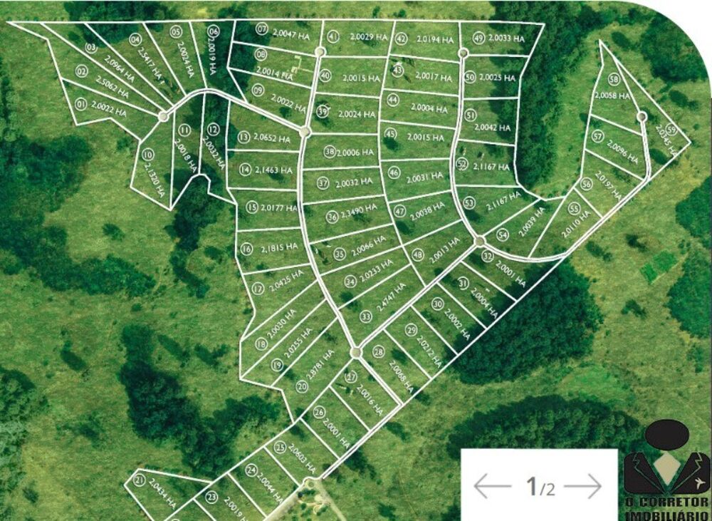 Sítio, 2 hectares - Foto 8