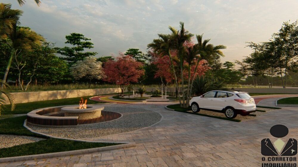 Sítio, 2 hectares - Foto 4