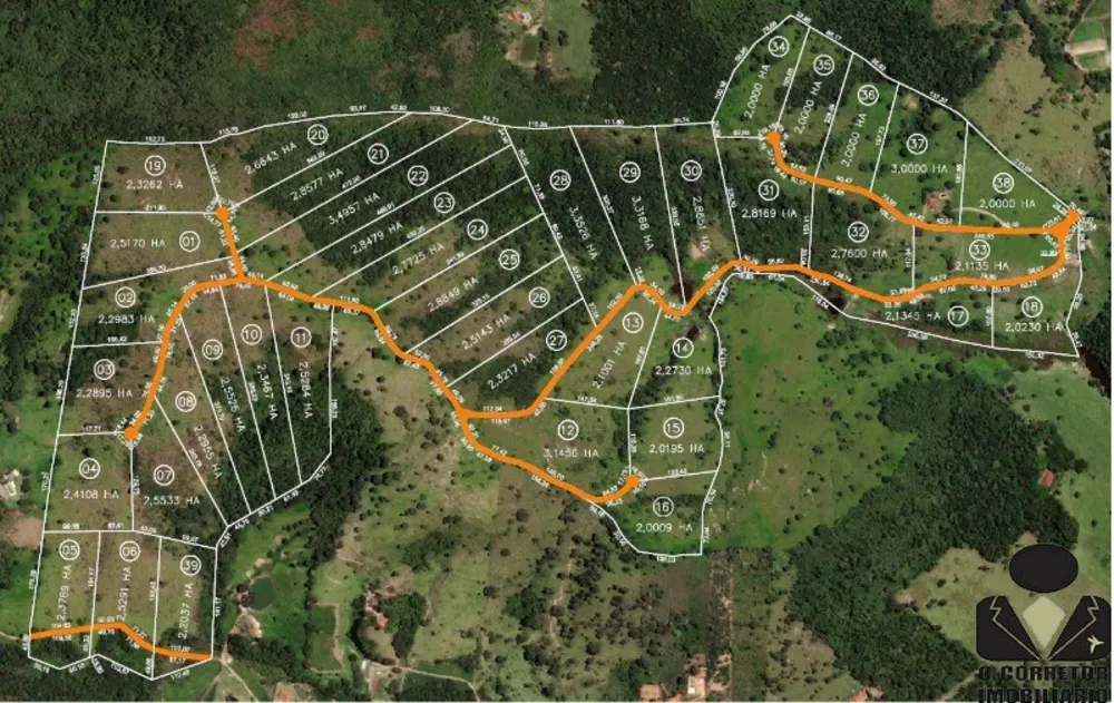 Terreno, 3 hectares - Foto 4