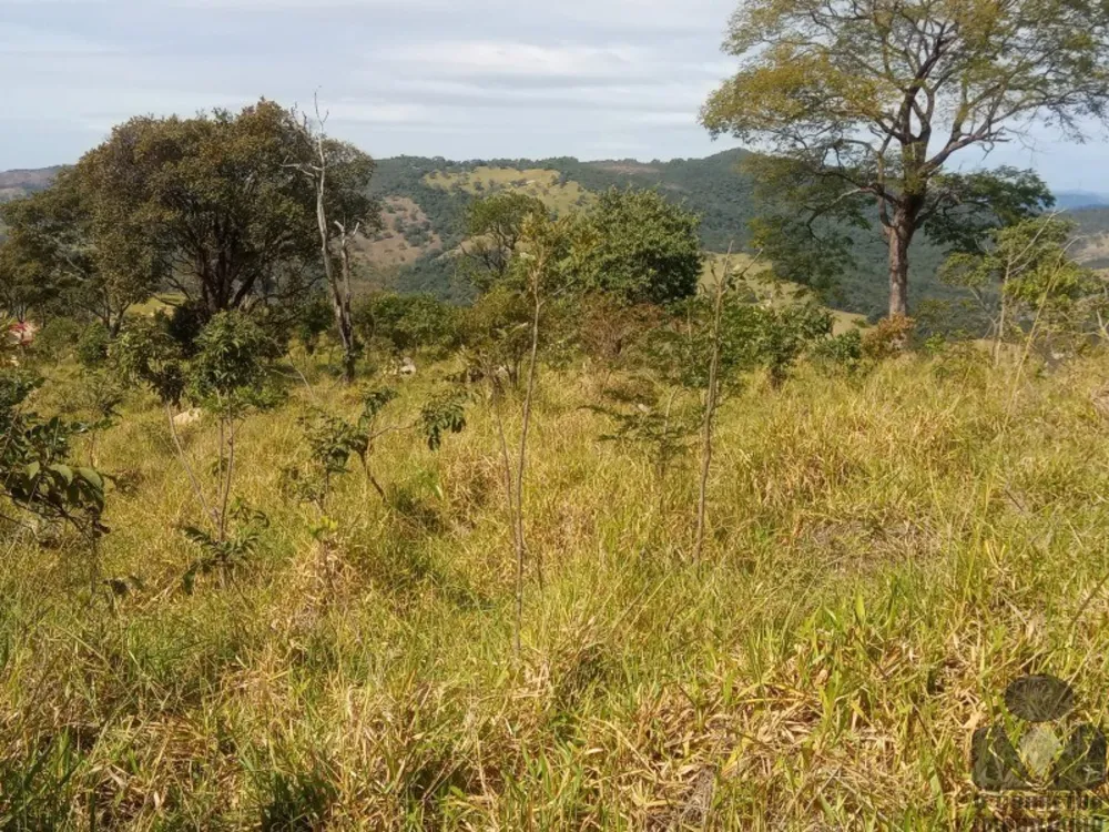 Terreno, 3 hectares - Foto 2