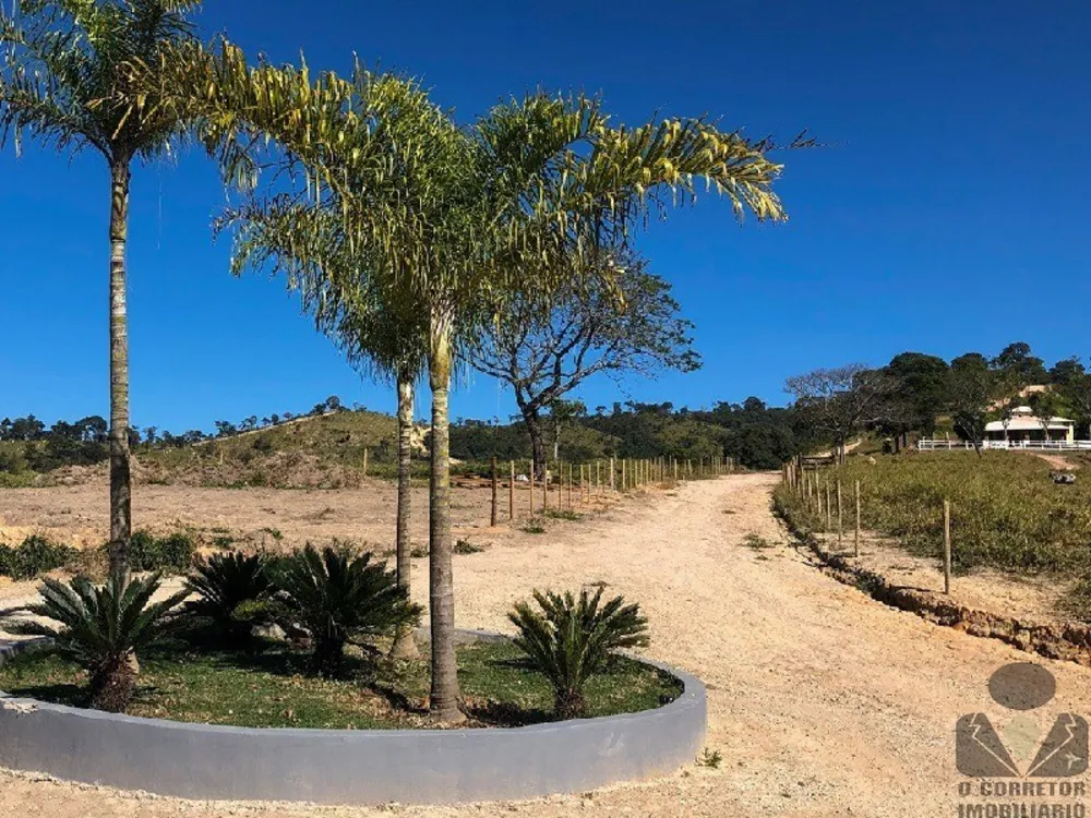 Terreno, 3 hectares - Foto 3