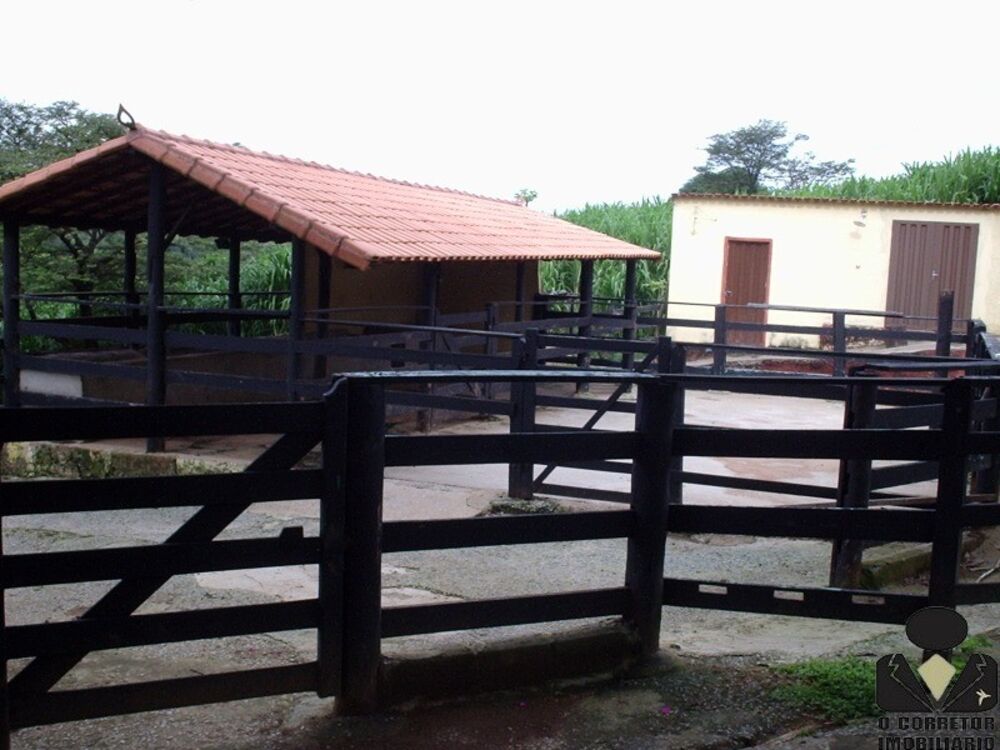 Sítio à venda com 5 quartos, 21000m² - Foto 9